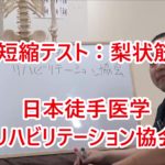 梨状筋